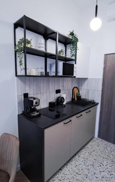 Lion Apartments - Premium Studio With Balcony Краков Экстерьер фото
